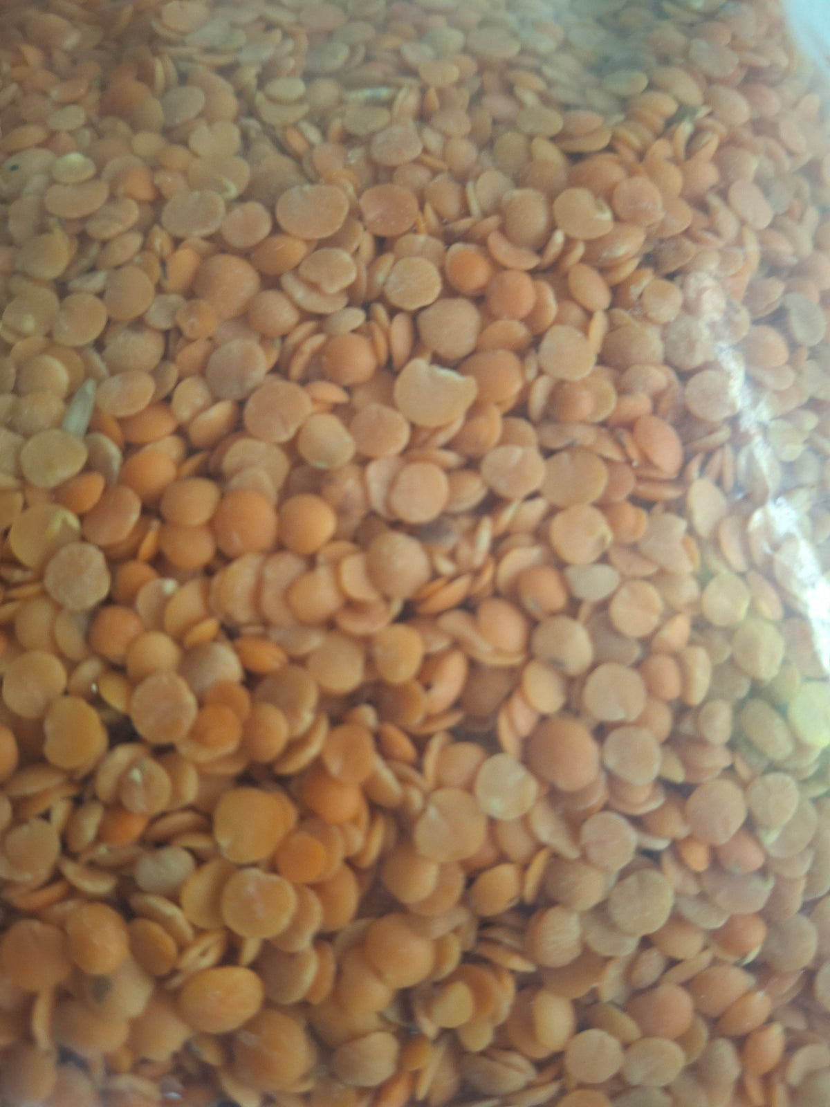 Daal Masoor 500g
